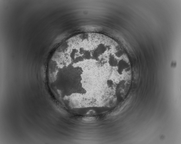 X0000102500357200809051351