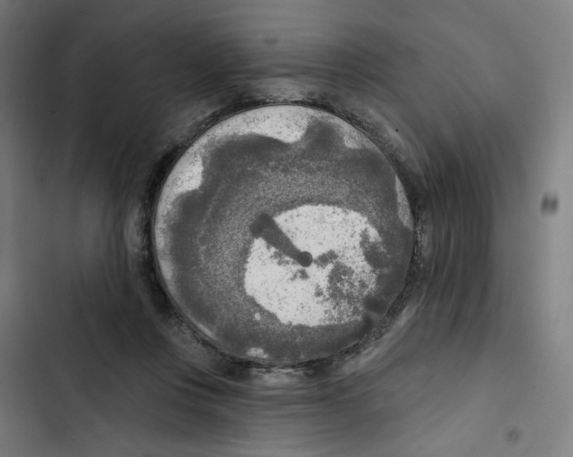 X0000102500359200809051351