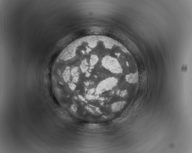 X0000102500361200809051351