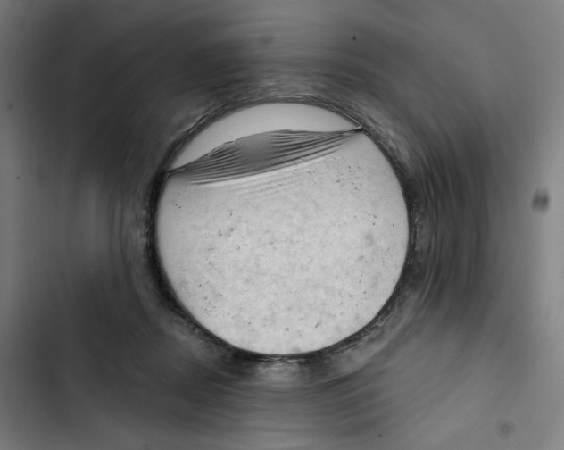 X0000102500362200809051351