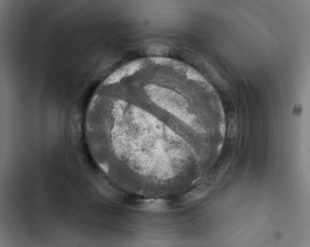 X0000102500363200809051351