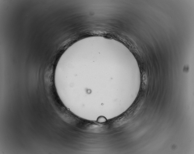 X0000102500364200809051351