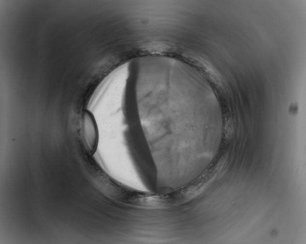 X0000102500365200809051351