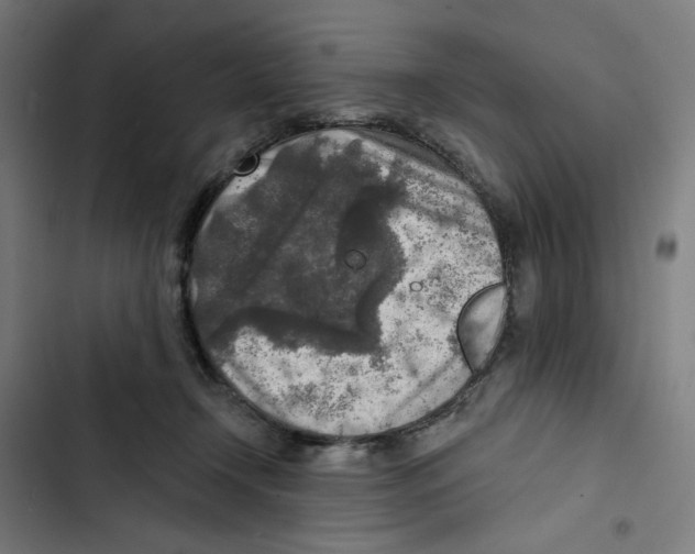 X0000102500366200809051351