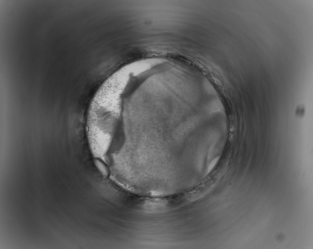 X0000102500369200809051351