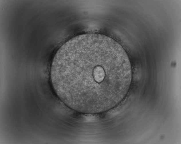 X0000102500370200809051351