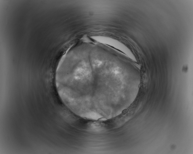 X0000102500372200809051351