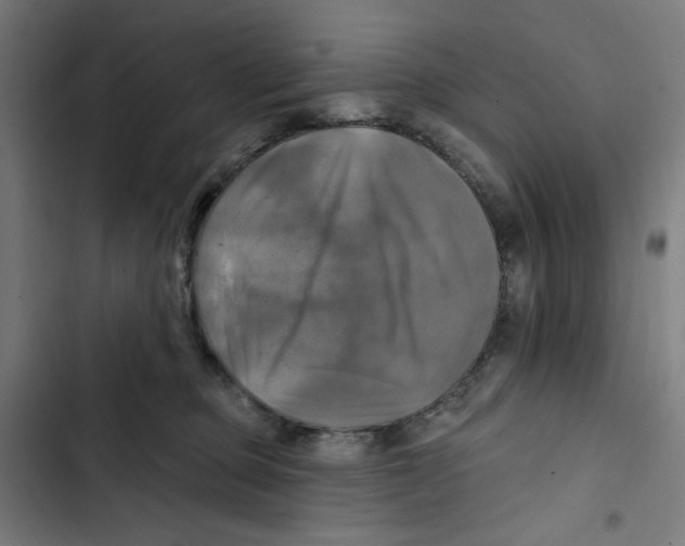 X0000102500373200809051351