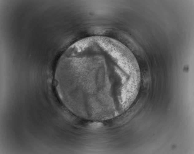 X0000102500374200809051351