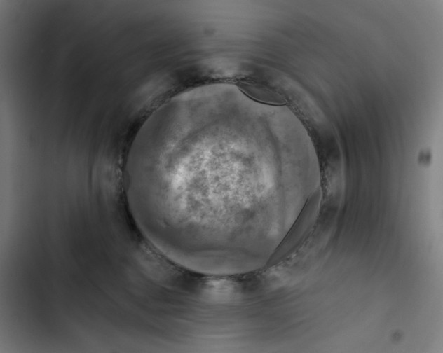 X0000102500376200809051351