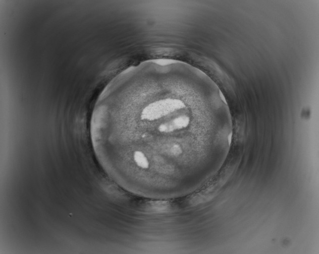 X0000102500377200809051351