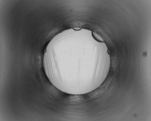 X0000102500378200809051351