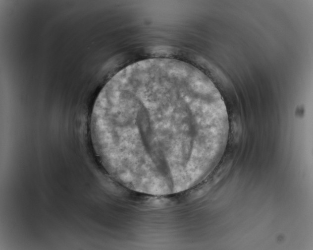 X0000102500379200809051351