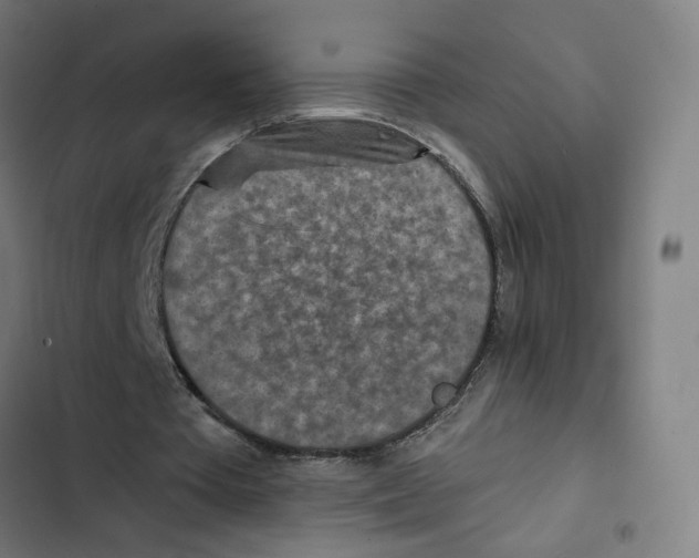 X0000102500385200809051351