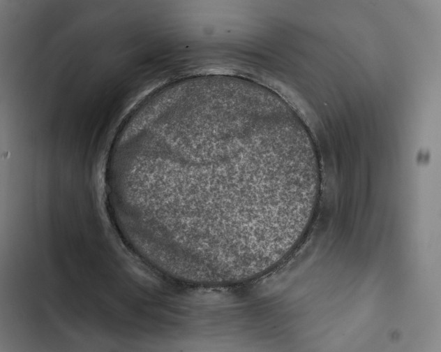 X0000102500386200809051351