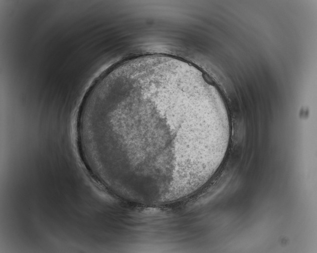 X0000102500390200809051350