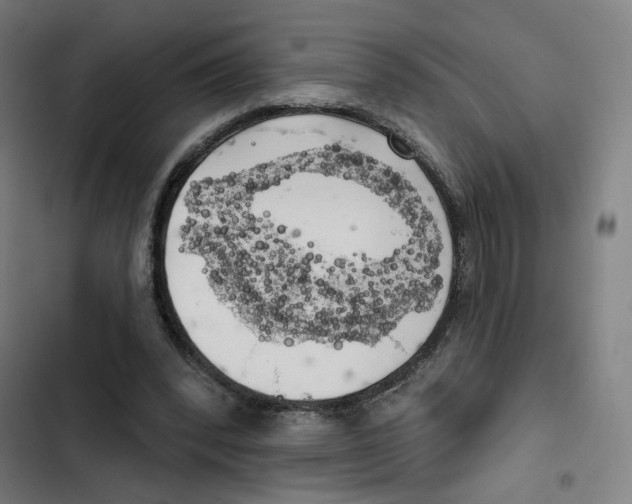 X0000102500392200809051350