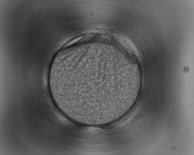 X0000102500393200809051350