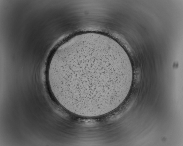 X0000102500395200809051350