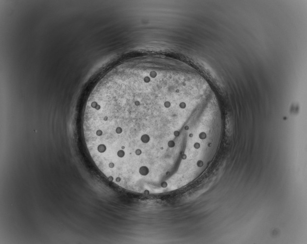 X0000102500396200809051350