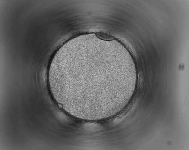 X0000102500397200809051350