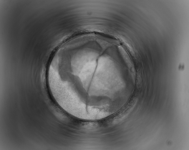 X0000102500398200809051350