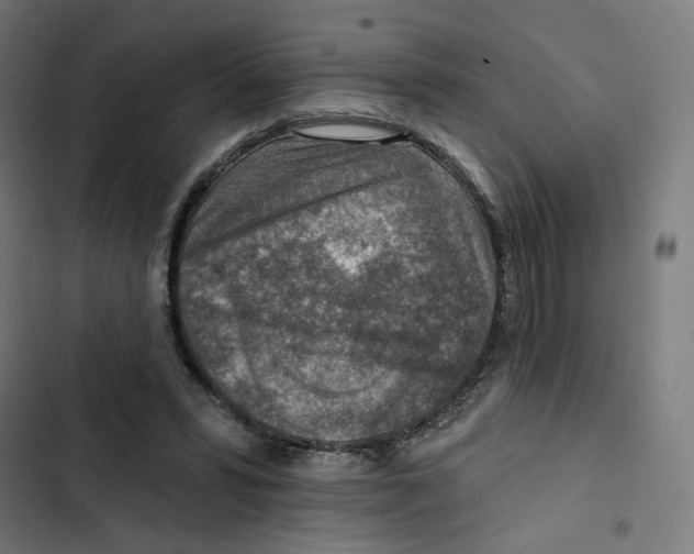 X0000102500399200809051350