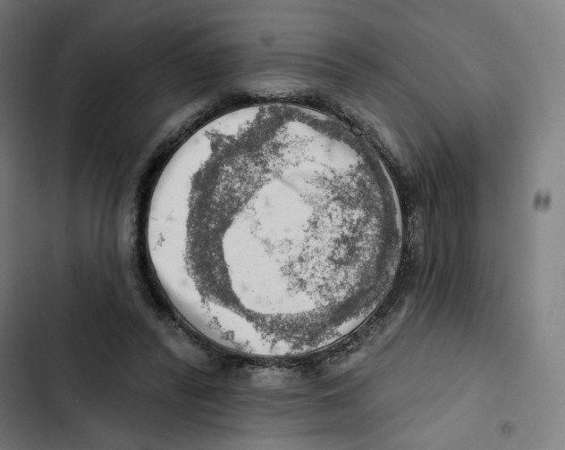 X0000102500400200809051350