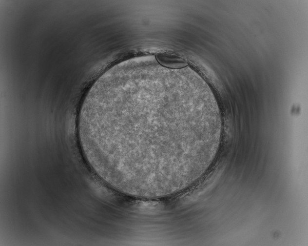 X0000102500401200809051350