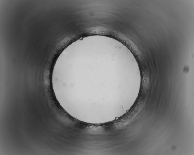 X0000102500403200809051350