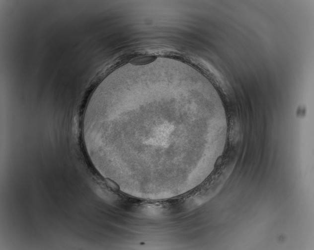 X0000102500405200809051350