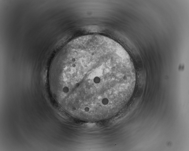 X0000102500406200809051350