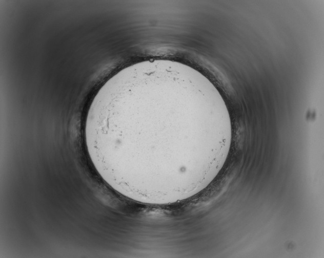 X0000102500407200809051350