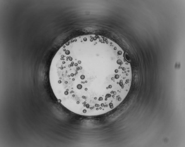 X0000102500408200809051350