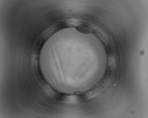 X0000102500409200809051350