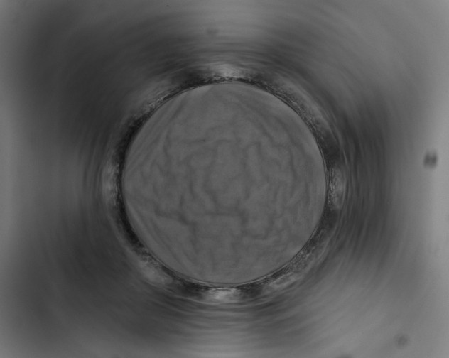 X0000102500410200809051350