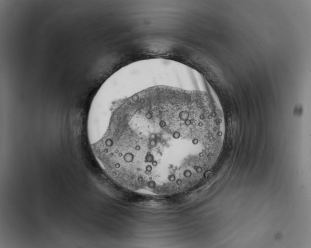 X0000102500412200809051350