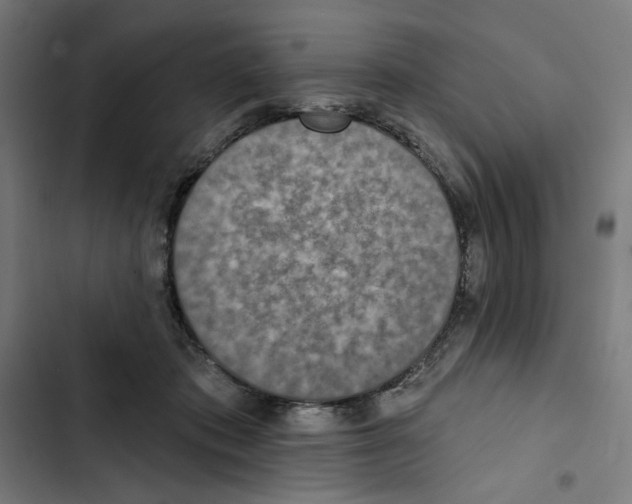 X0000102500413200809051350