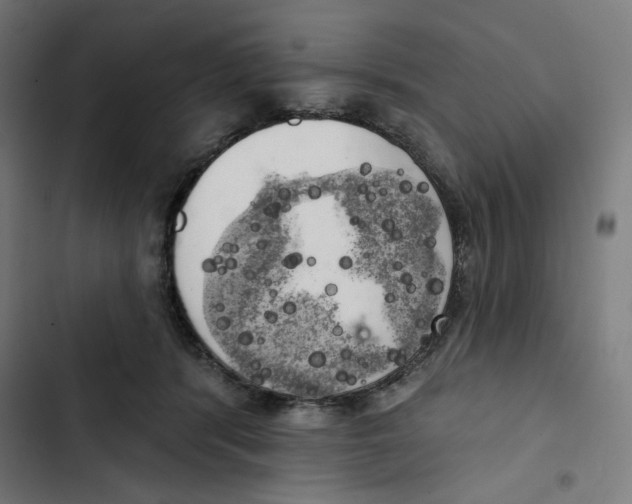 X0000102500416200809051350