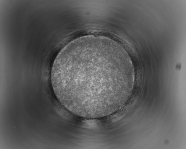 X0000102500417200809051350