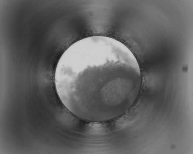 X0000102500419200809051350