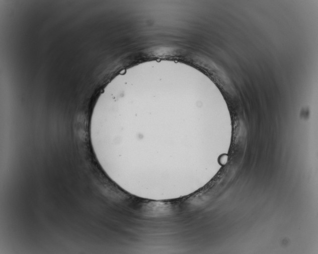 X0000102500421200809051350