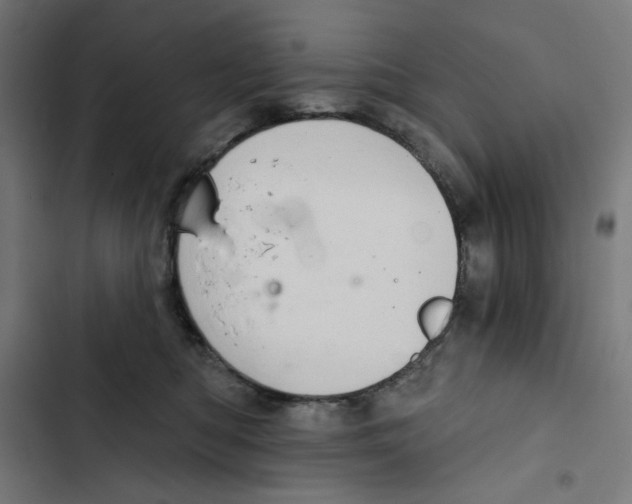 X0000102500422200809051350