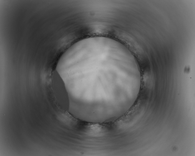 X0000102500423200809051350