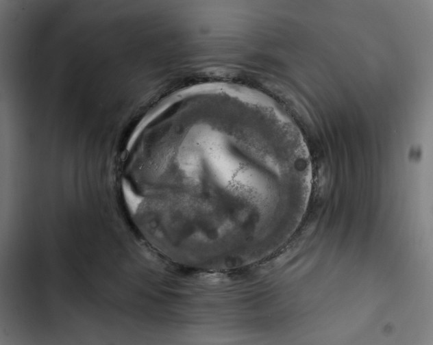 X0000102500424200809051350