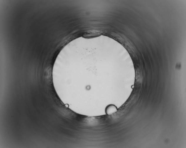 X0000102500425200809051350