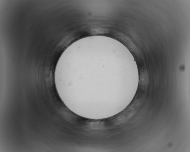 X0000102500426200809051350