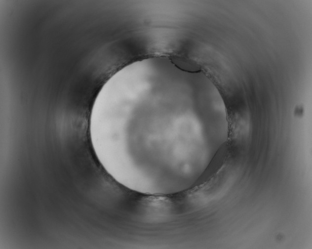 X0000102500427200809051350