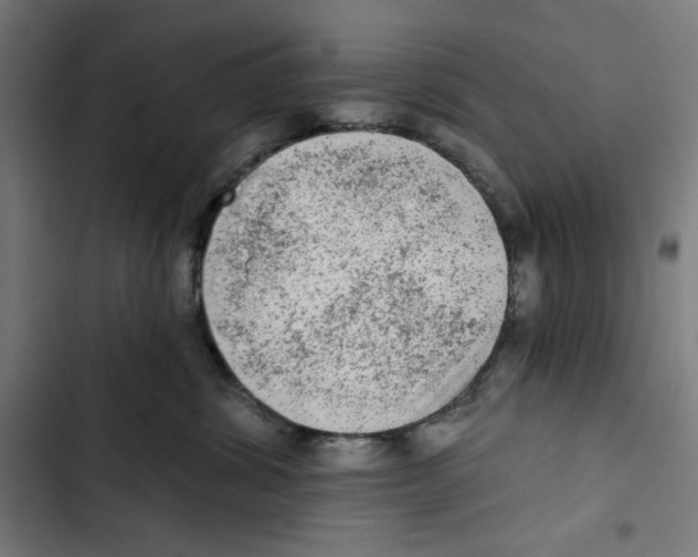 X0000102500428200809051350