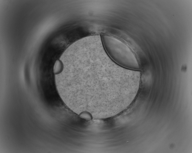 X0000102500429200809051350